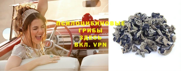 mdpv Беломорск