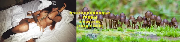 гашиш Белокуриха